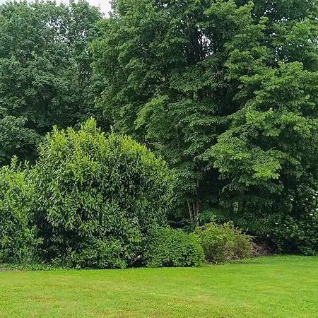 Berges De La Suippe Vakantiehuis Warmeriville